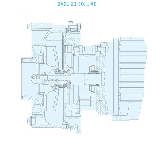 21 50 AK