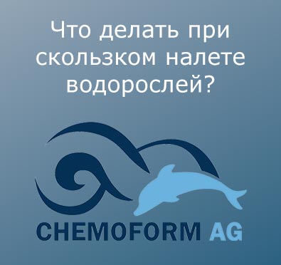 chem skolzko